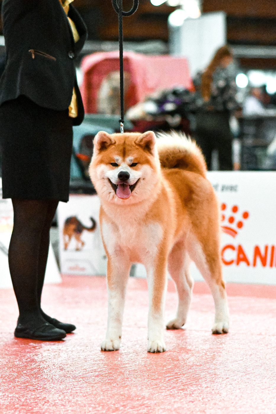 Akimasa Go Of Kamino Ken